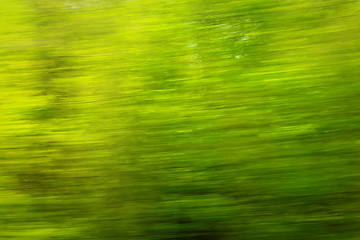 Image showing Spring view from car window, defocused.