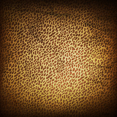 Image showing Leopard Skin Retro Background