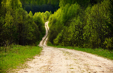 Image showing Rural road