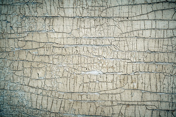 Image showing Old cracked painted wood