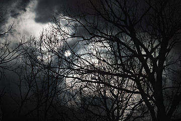 Image showing Halloween abstract scenery. Full moon behind forest silhouette.