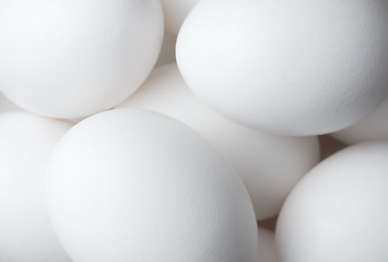 Image showing Eggs solid background