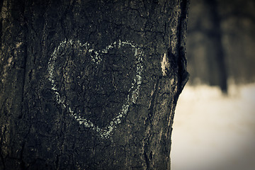 Image showing Heart symbol on oak trunk