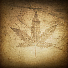 Image showing Cannabis leaf grunge background