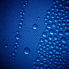 Image showing Blue Water Drops