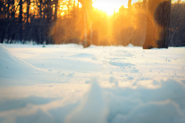 Image showing Sunset in park. Winter, Moscow Botanical Garden.
