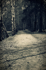 Image showing Path in park, vintage toned