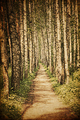 Image showing Grunge rural road