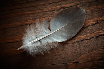 Image showing Pigeon feather on the old wood texture.