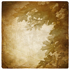 Image showing Vintage maple leaves background