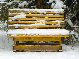 Image showing Hoar bench