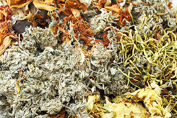 Image showing Chinese herbal tea ingredients