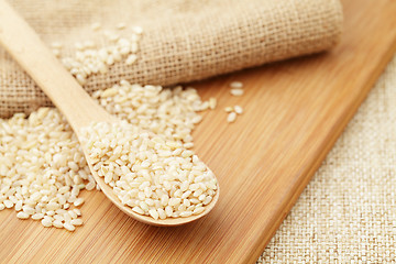 Image showing Uncooked rice on spoon