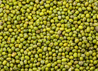 Image showing Mung bean background