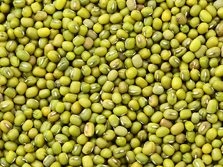 Image showing Mung bean background