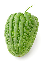 Image showing Bitter melon on white background