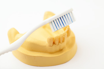 Image showing Denture and toothbrush