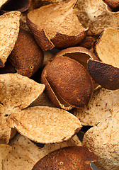 Image showing Dried tangerine peel