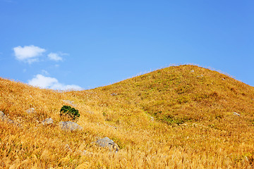 Image showing Autumn mountain 