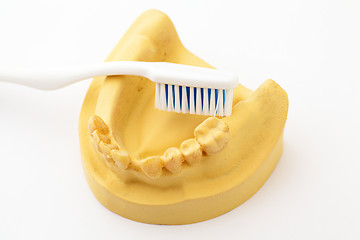 Image showing Denture and toothbrush