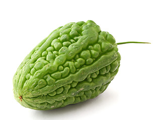 Image showing Bitter melon on white background