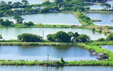 Image showing Fish hatchery pond