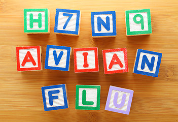 Image showing H7N9 avian flu toy block