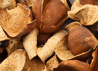 Image showing Dried tangerine peel