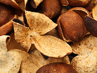 Image showing Dried tangerine peel