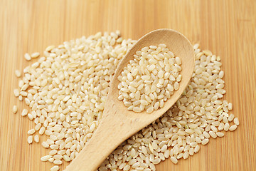 Image showing Uncooked rice on spoon