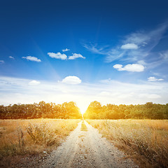 Image showing Rural road