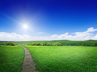 Image showing Rural road and meadow