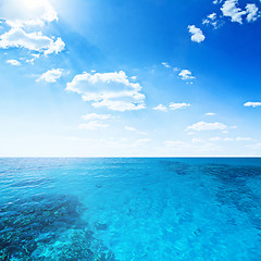 Image showing Tropical ocean