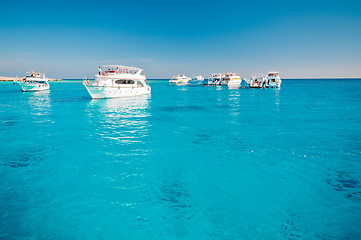 Image showing Many yachts in lagoon