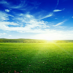 Image showing Meadow and sky