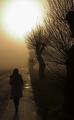 Image showing Walking Lady