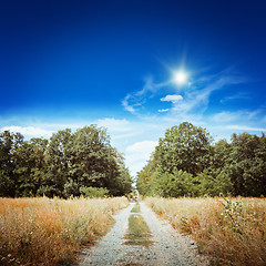 Image showing Rural road