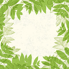 Image showing Green leaves frame on paper texture. Vector illustration, EPS10.