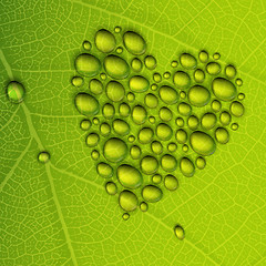 Image showing Heart shape dew drops on green leaf. Vector illustration, EPS10