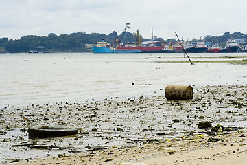 Image showing Polluted beach

