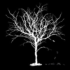 Image showing Tree silhouettewith fallen leaves. Vector illustration, EPS8.