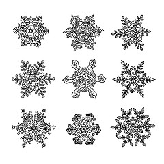 Image showing Macro-structure of real snowflakes, transformed and drawn as orn