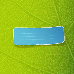 Image showing Green leaf texture and torn label with space for text. EPS10