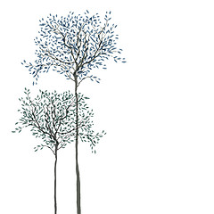Image showing Trees background. The trunk and leaves in separate layers. Vecto