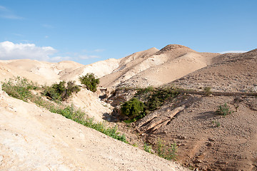 Image showing Hiking in judean desert