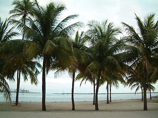 Image showing beach