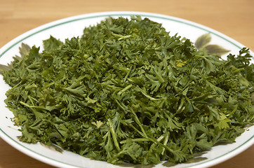 Image showing chopped parsley