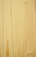 Image showing Wood texture