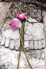 Image showing Statue of Buddha's feet in the Historical Park of Sukhothai