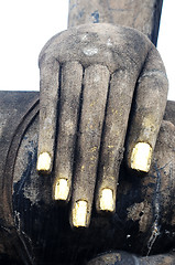 Image showing Statue of a Buddha's hand in the Historical Park of Sukhothai